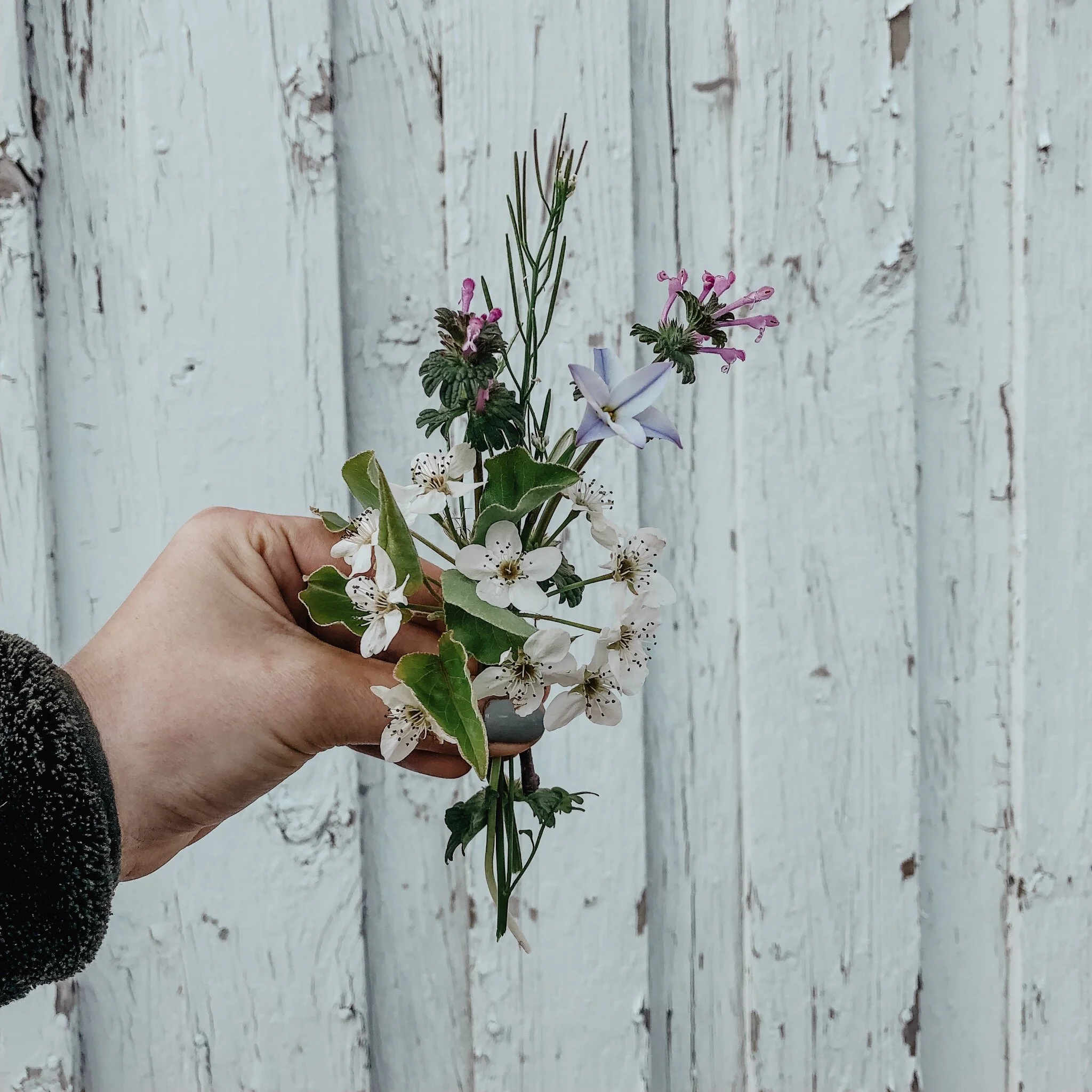 Five Finds // Thursday