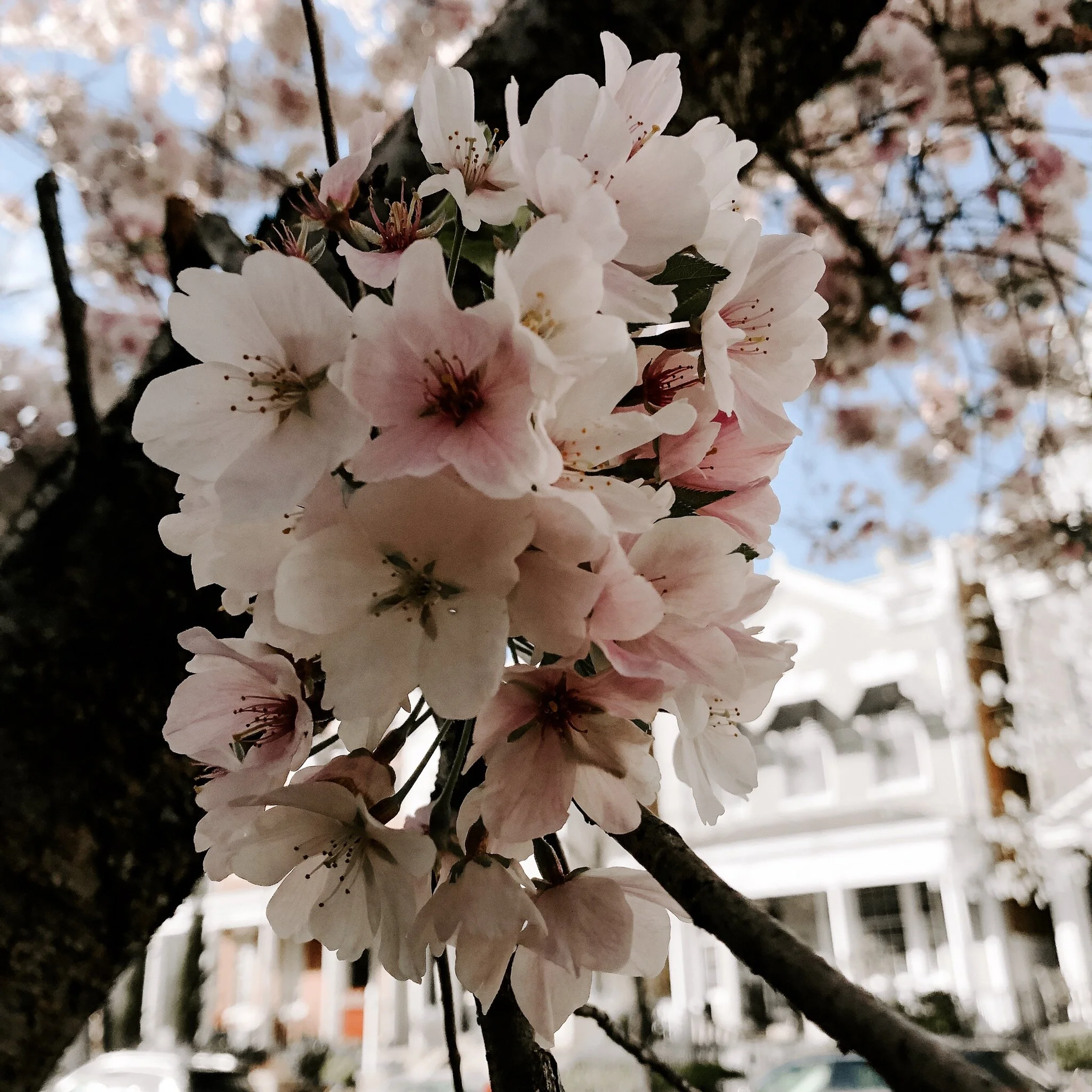 Five Finds // Wednesday