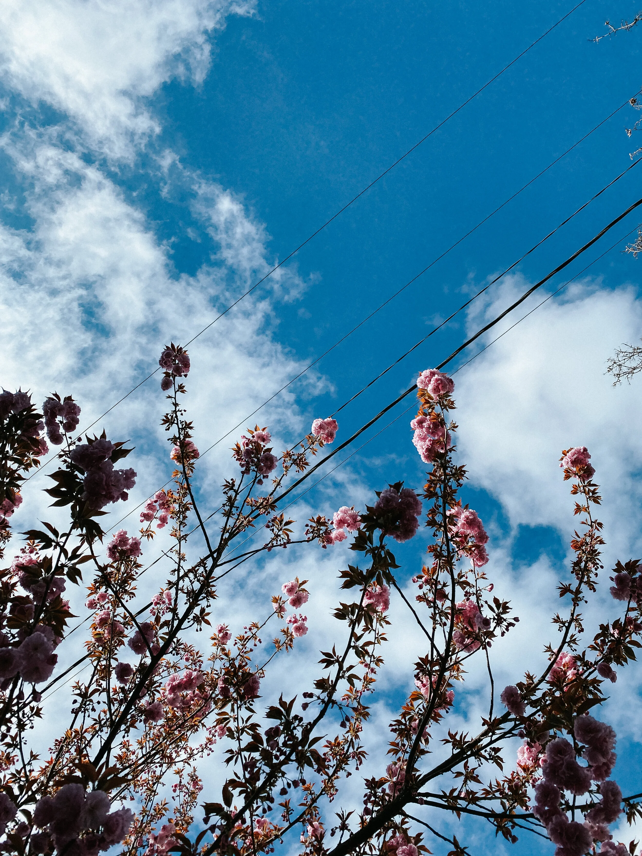 Five Finds // Friday