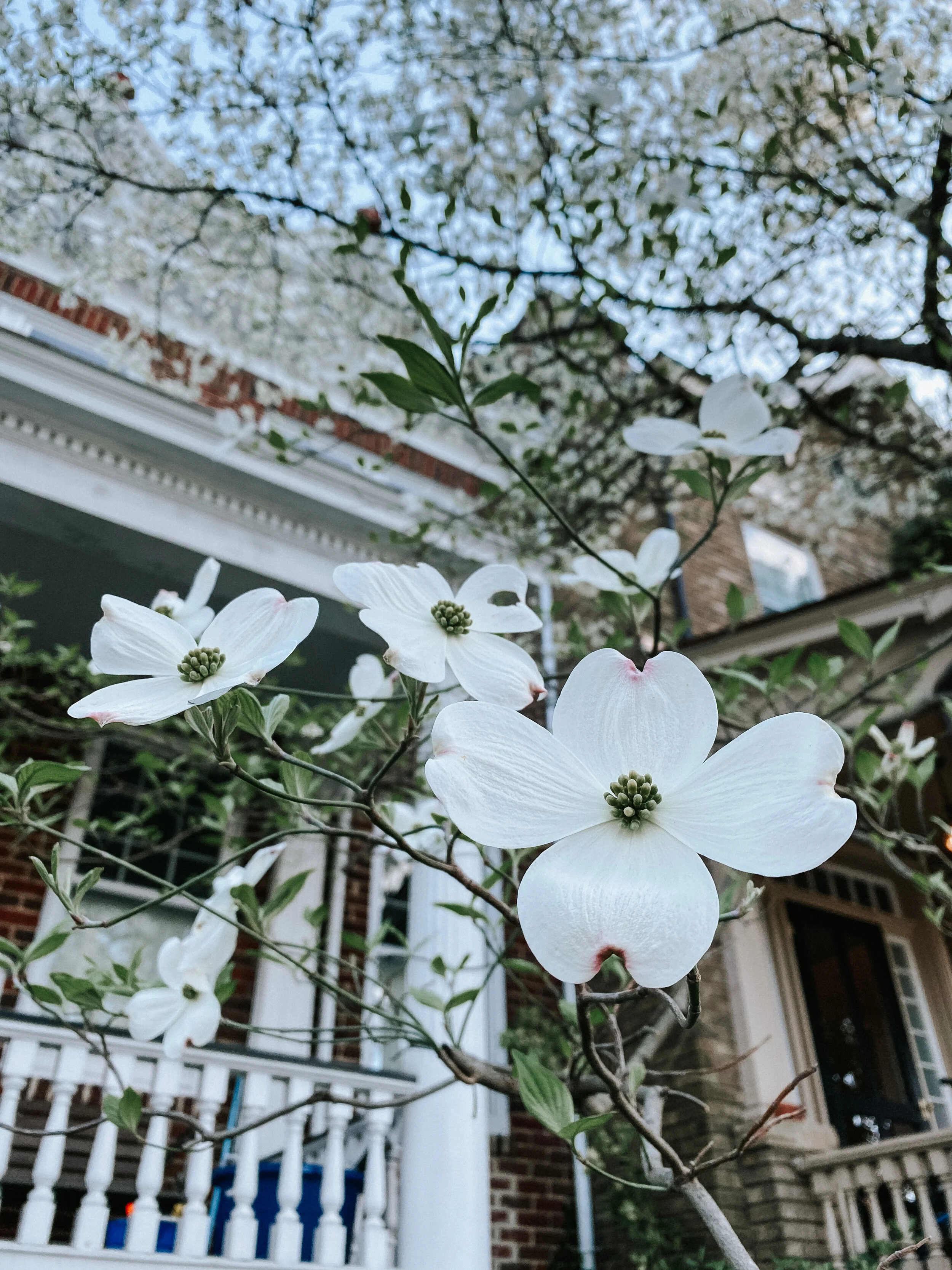 Five Finds // Friday