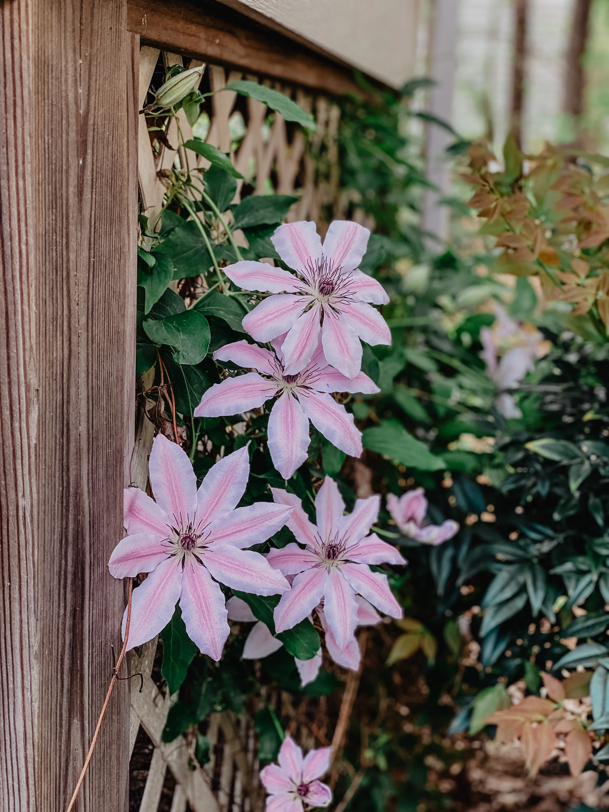 Five Finds // Tuesday