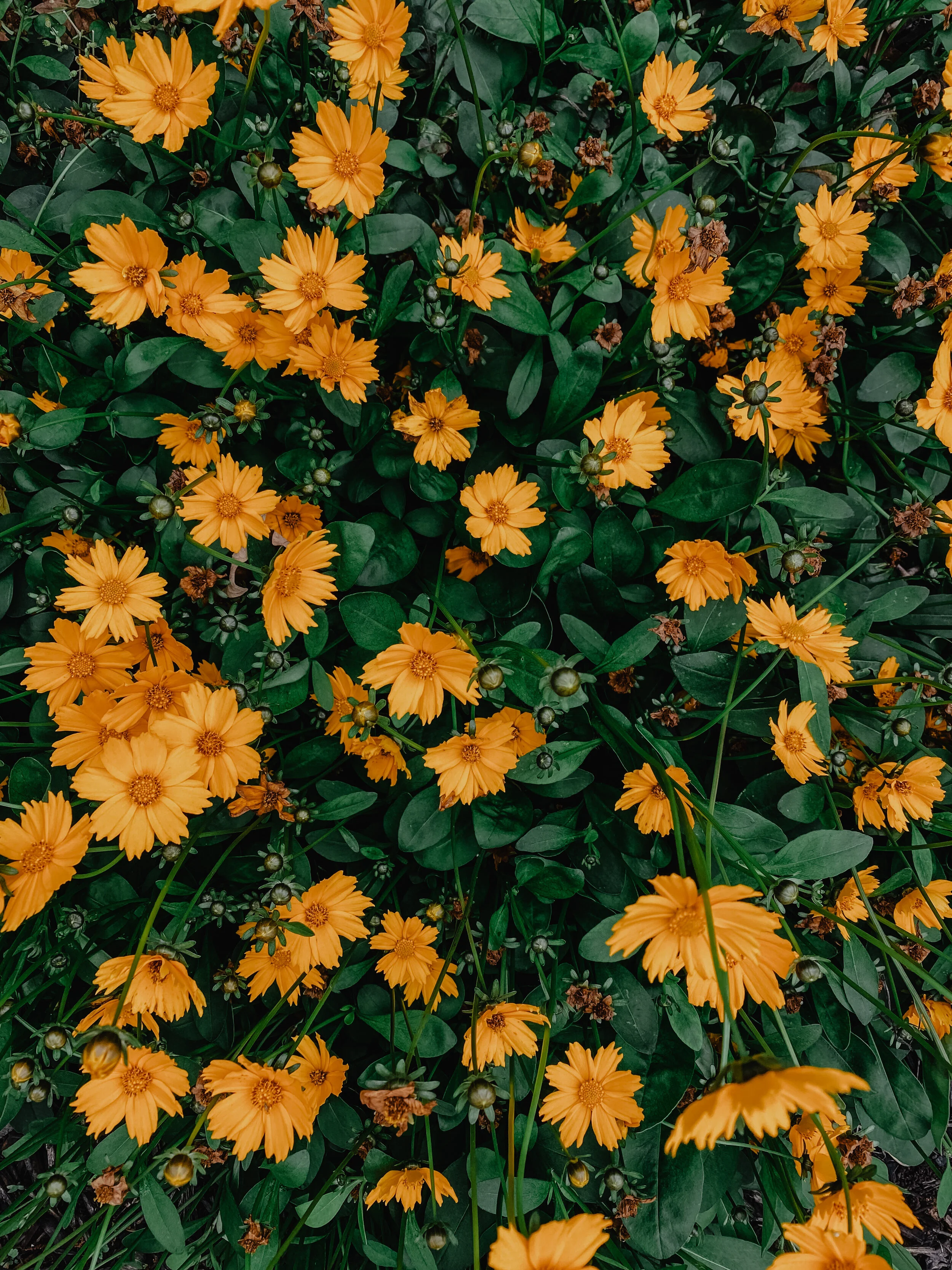 What Saved My Life in April