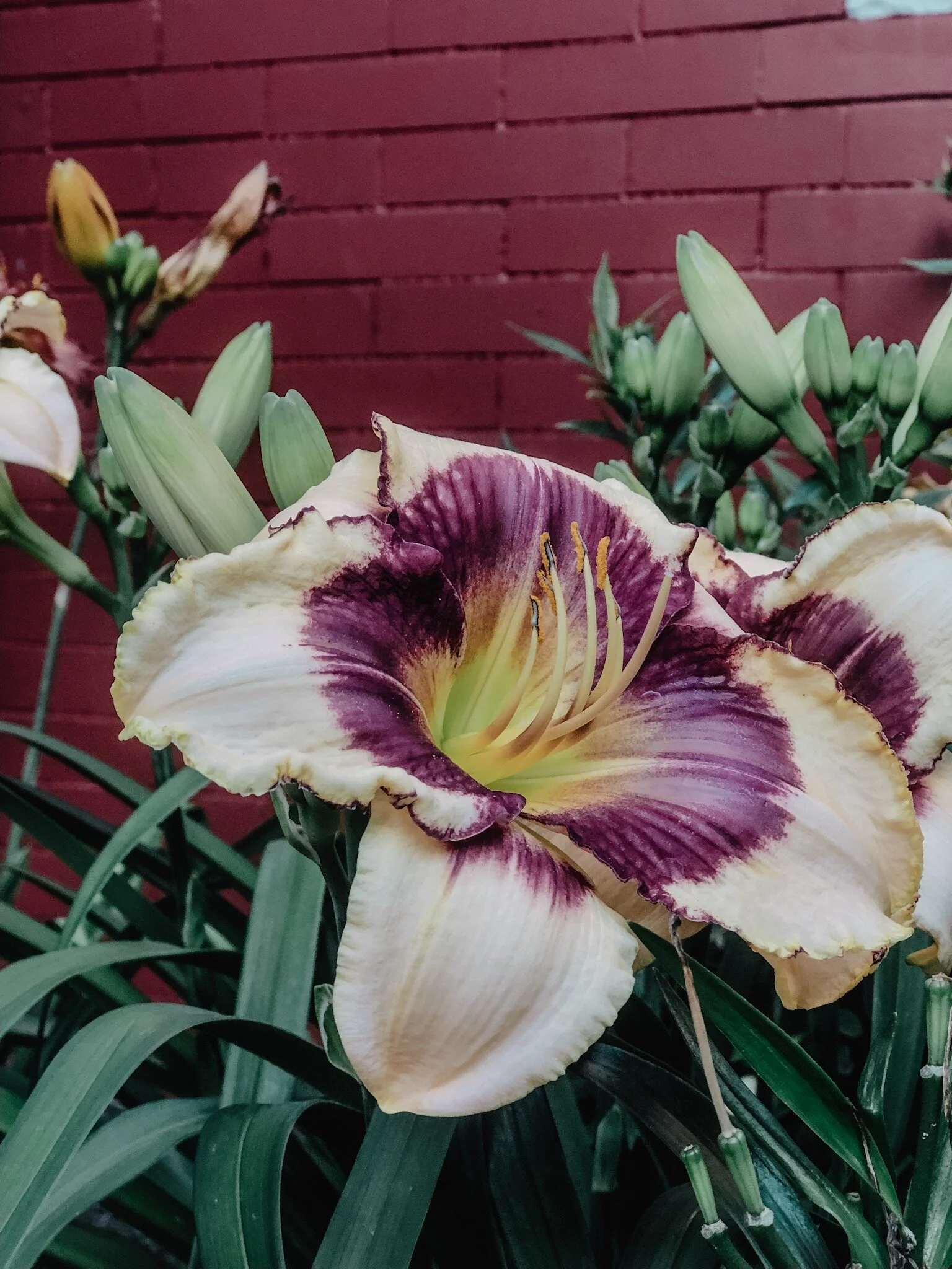 Five Finds // Tuesday