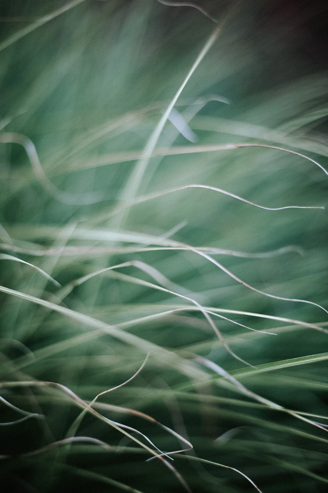 How (and Why) I Sabbath Every Week