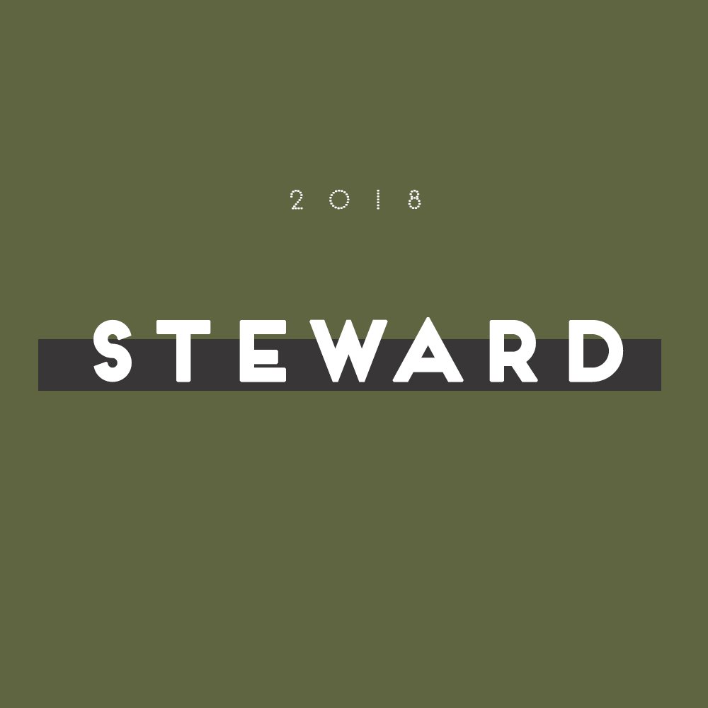 steward.jpg