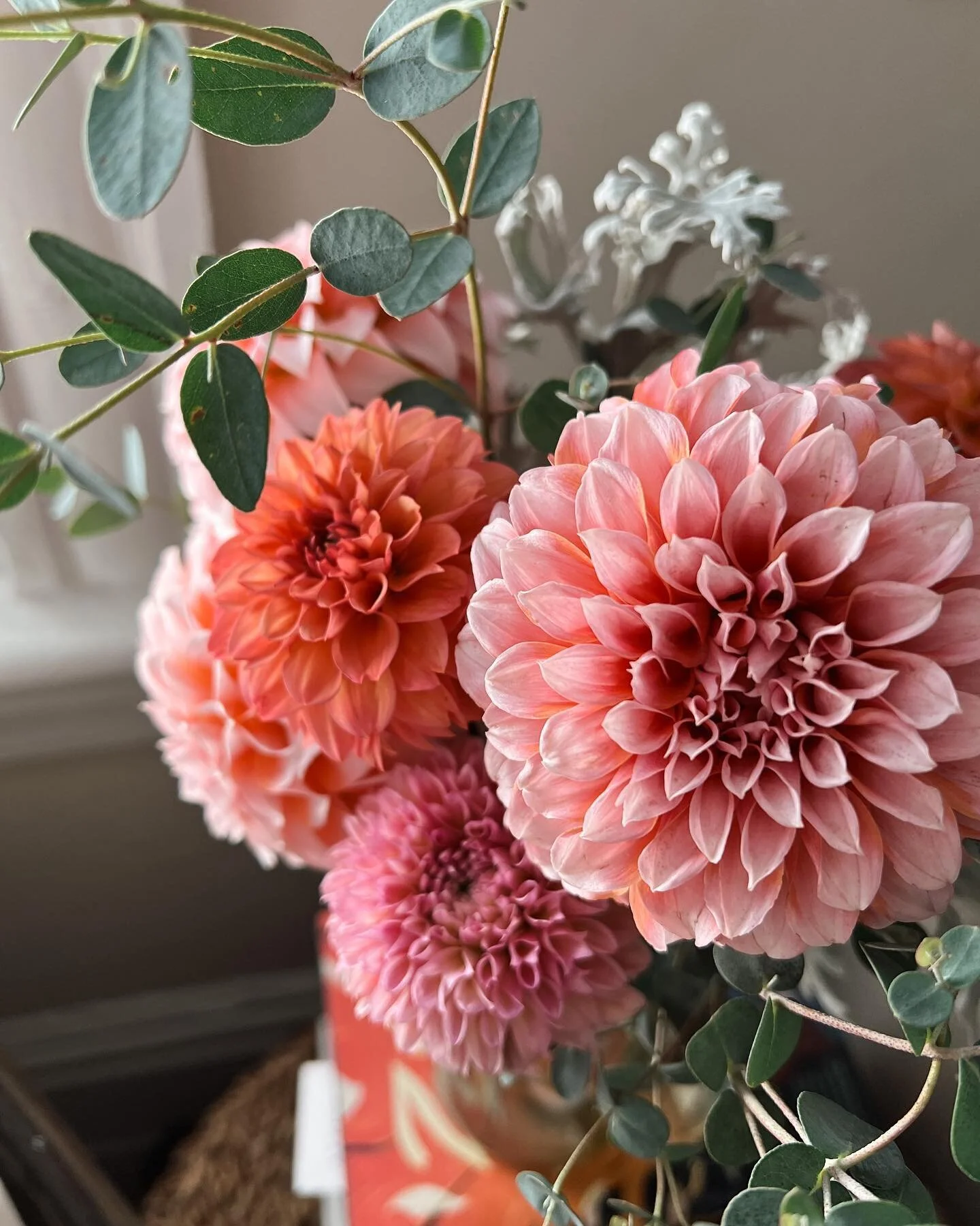 i&hellip; don&rsquo;t have words??? how??? so beautiful??? @prospecthillfarm i love you so much and am so thankful for these weekly bundles of pure joy and delight! 😍😍😍 #radloveswildflowers #dahliaseason #prospecthillfarm