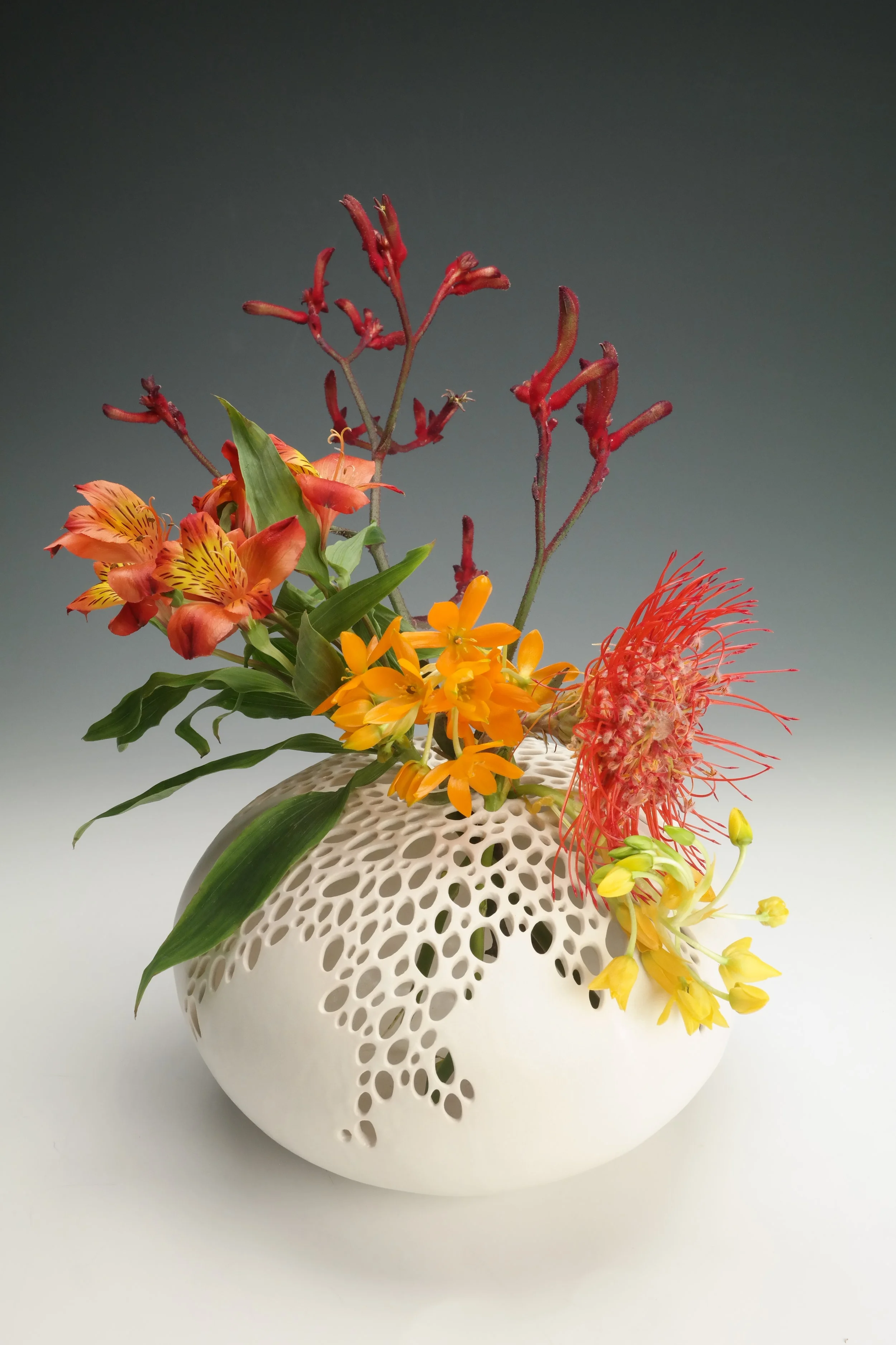 2017-05-03 12.18.22.jpg