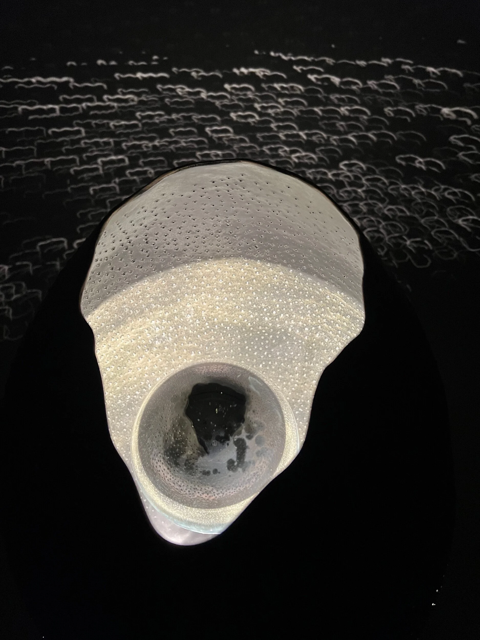 A5A62D1E-EA4C-422C-A5E2-94E6D12A9016