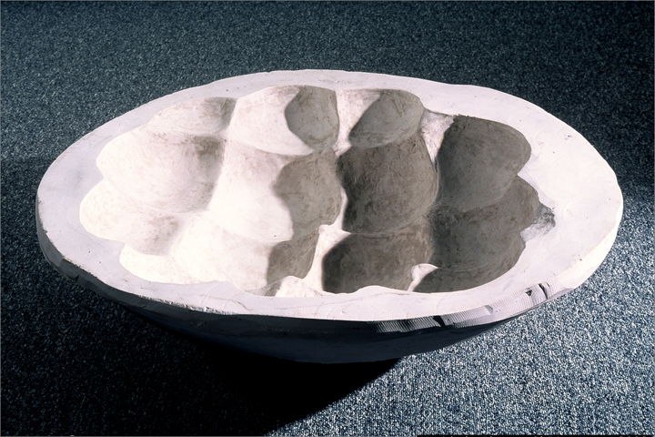 Cast Plaster