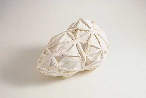 Cage 1