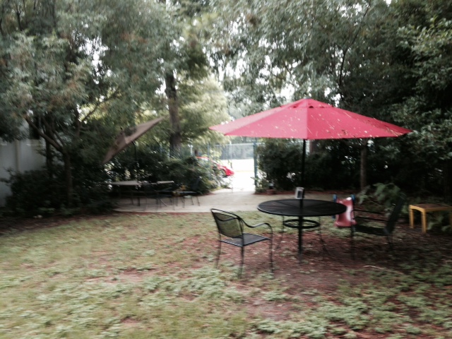 The Alvar Library Garden (chairs and umbrella donated by the Jamie Kanzler Foundation). 