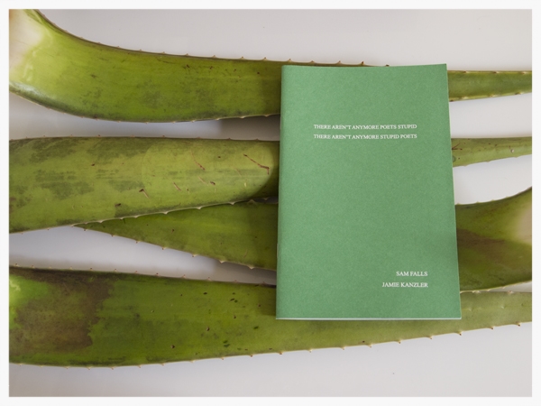 There Aren't Anymore Poets Stupid There Aren't Anymore Stupid Poets By Jamie Kanzler, Photos by Sam Falls Bodega Publishing, New York, 2011 Out of Print.