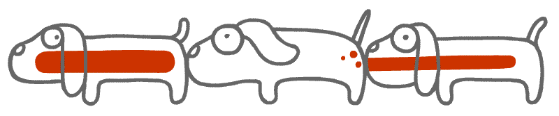 Hotdog Centipede