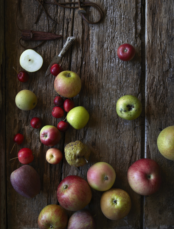 111009_HGFT_HIERLOOM_APPLES_FLYING_FOX_SMALL 20392.jpg