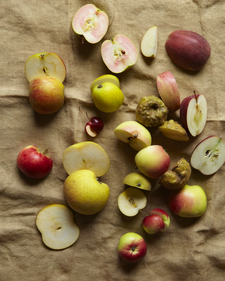 111014_HEIRLOOM_APPLES_FLYING_FOX_SM_ 20301.jpg