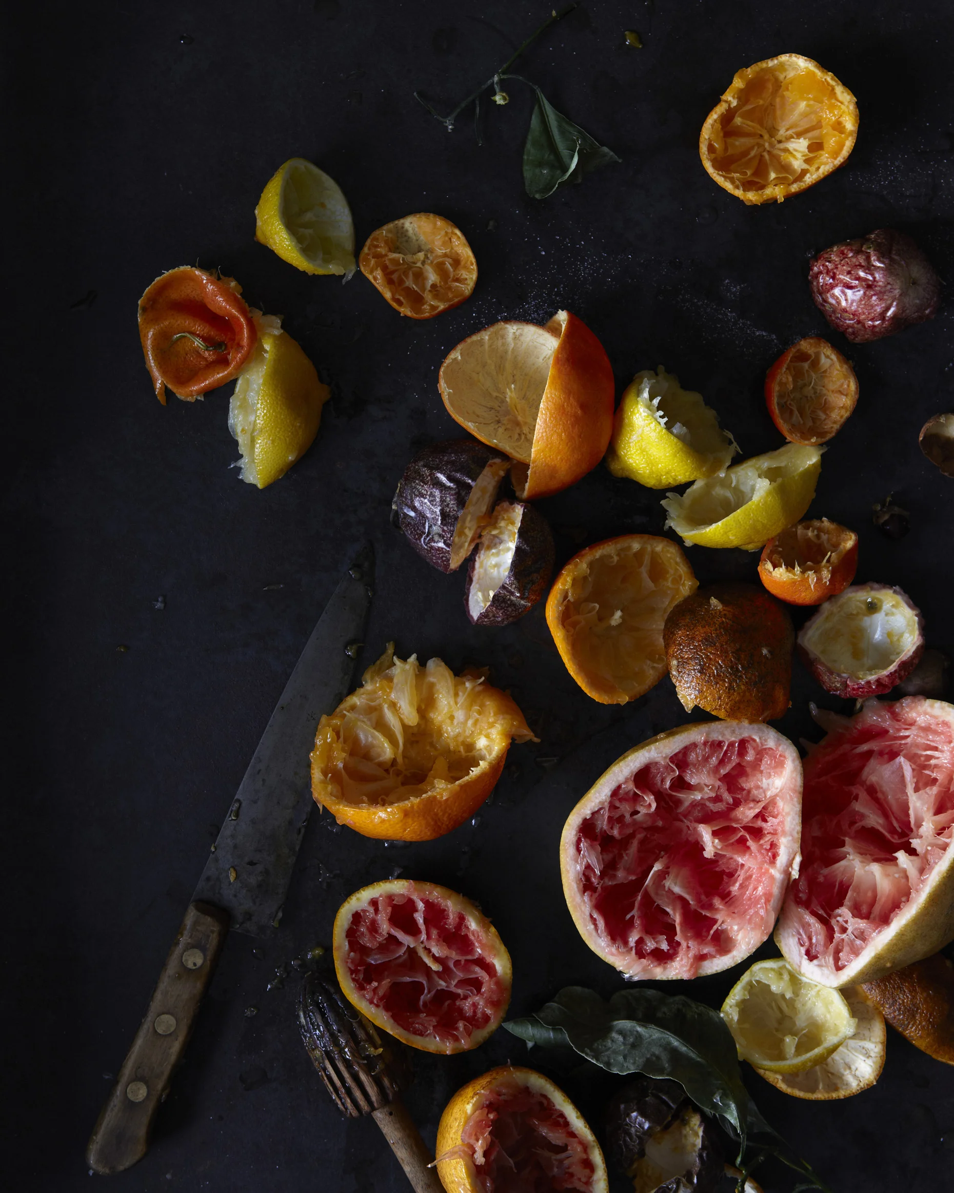 111228_HGFT_LEMON_SORBET 24619.jpg