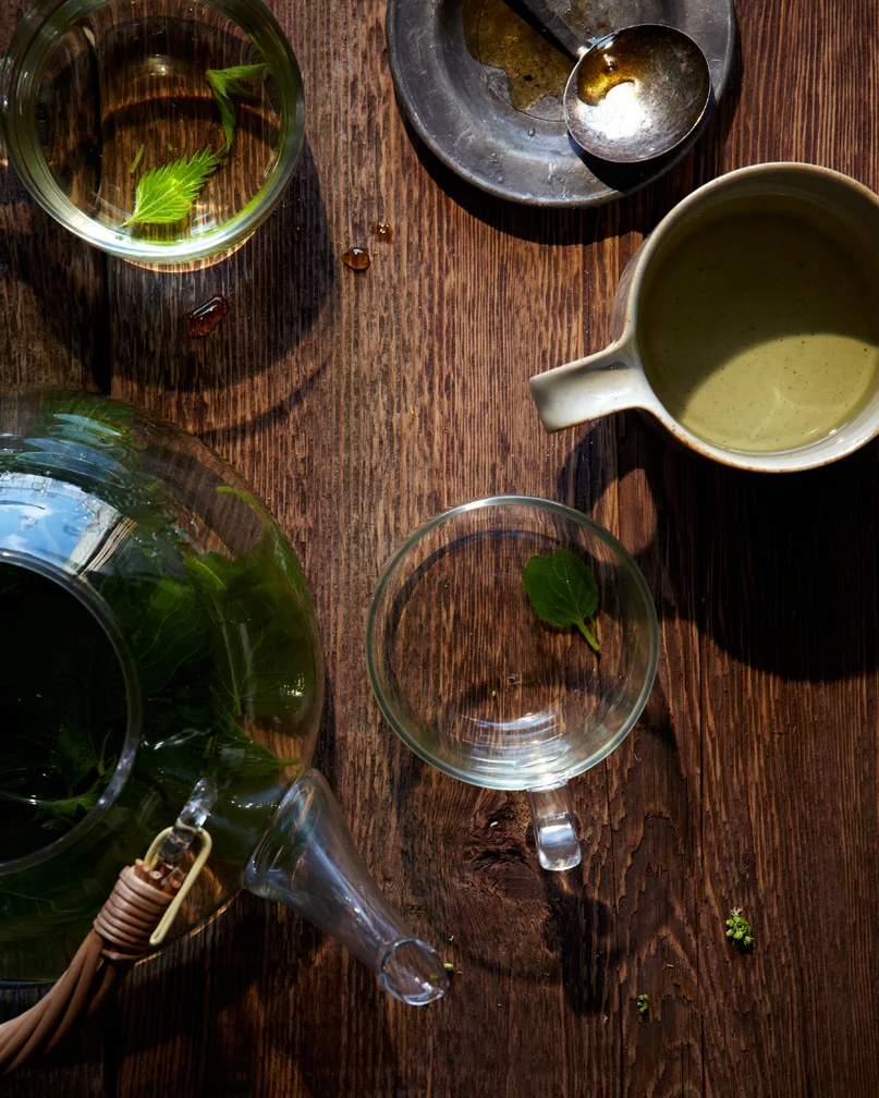 120402_HGFT_NETTLE--31019.jpg