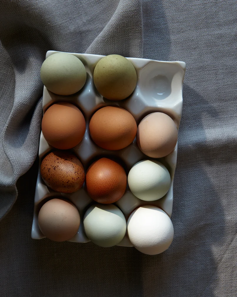 organic egg
