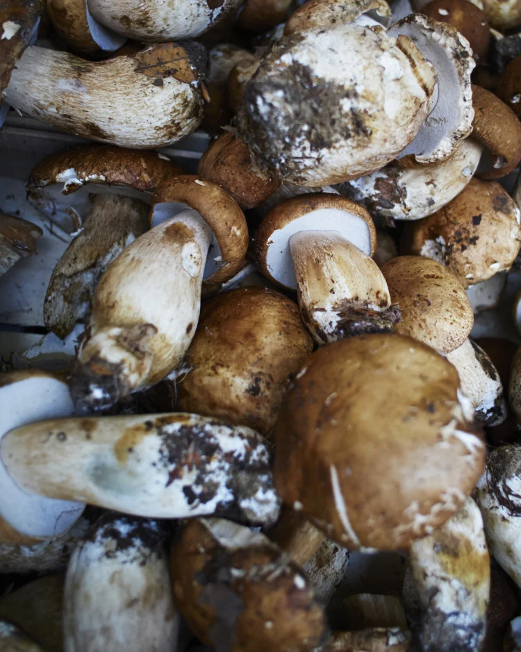  I funghi. Mercato Testaccio. 