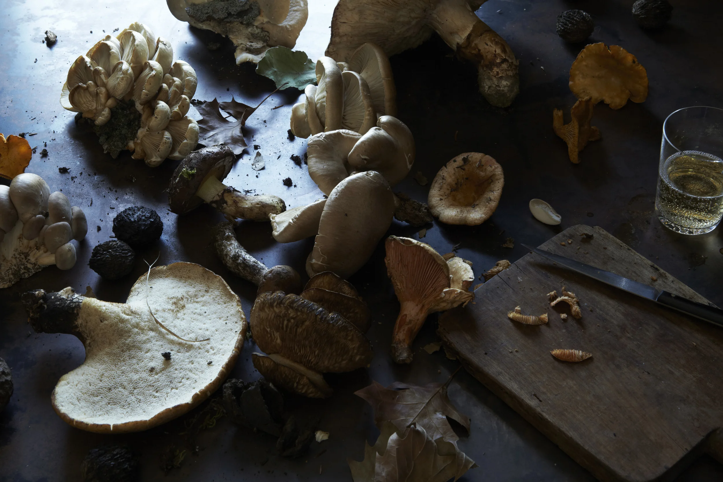 wild mushrooms 