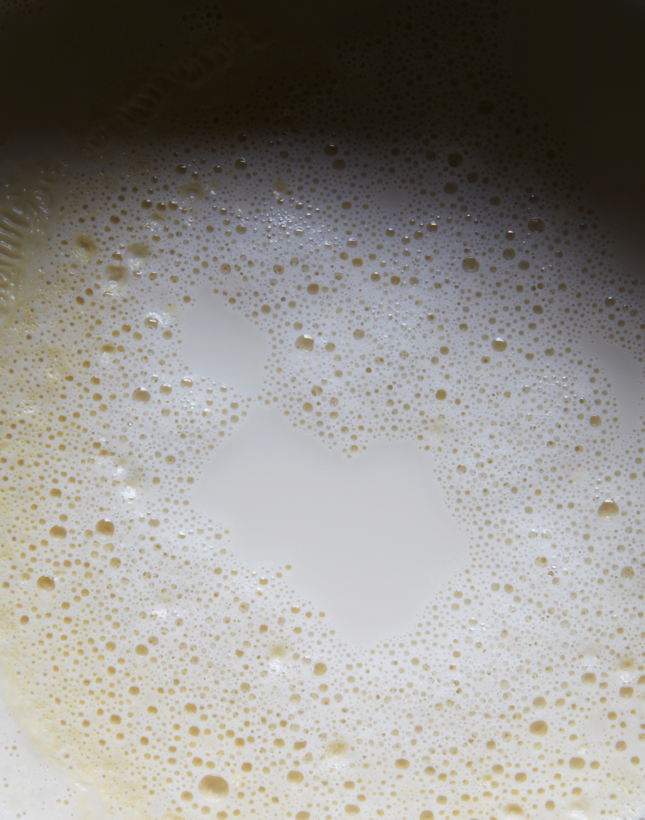  heating the pureed soy bean and water mixture. 