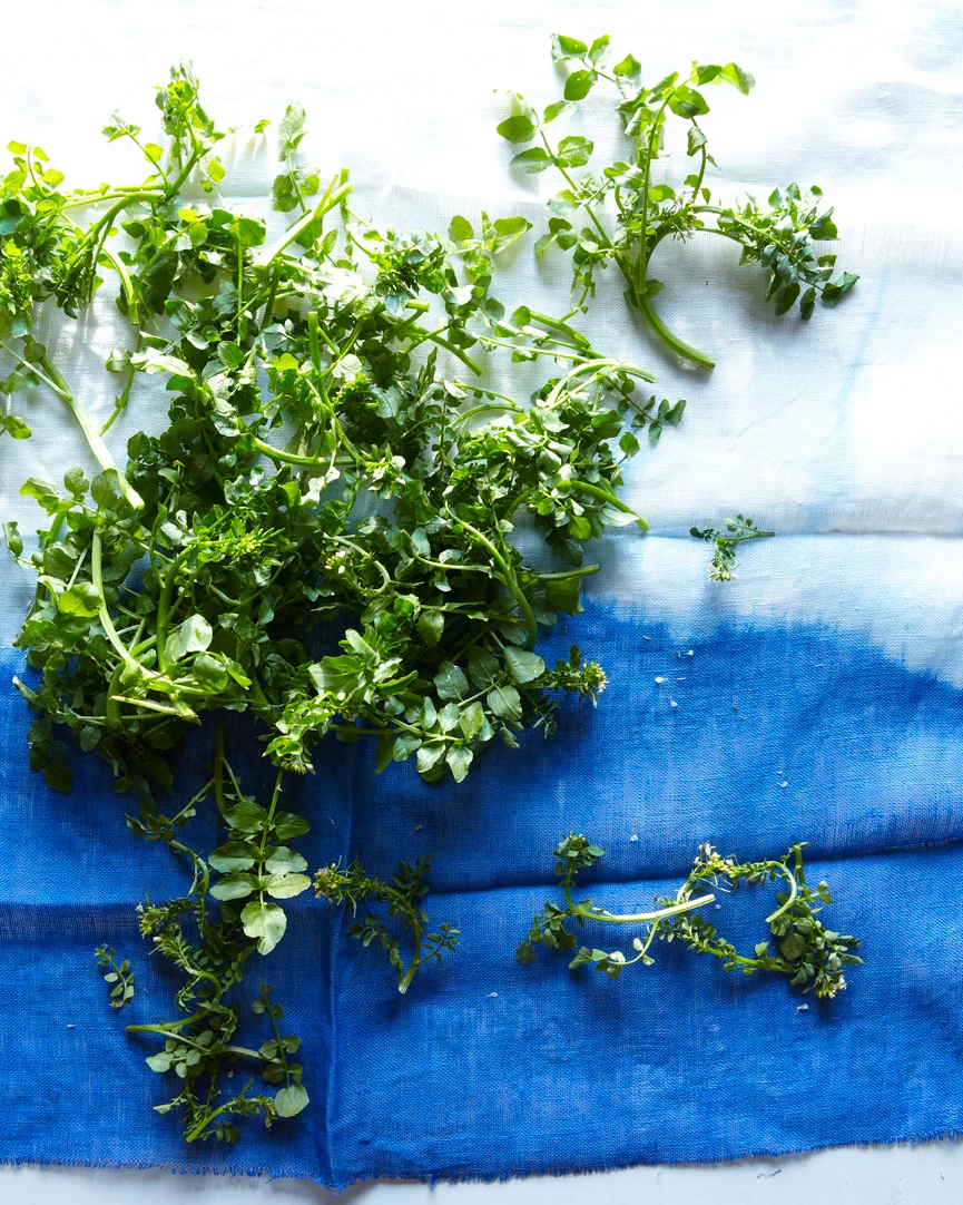 watercress