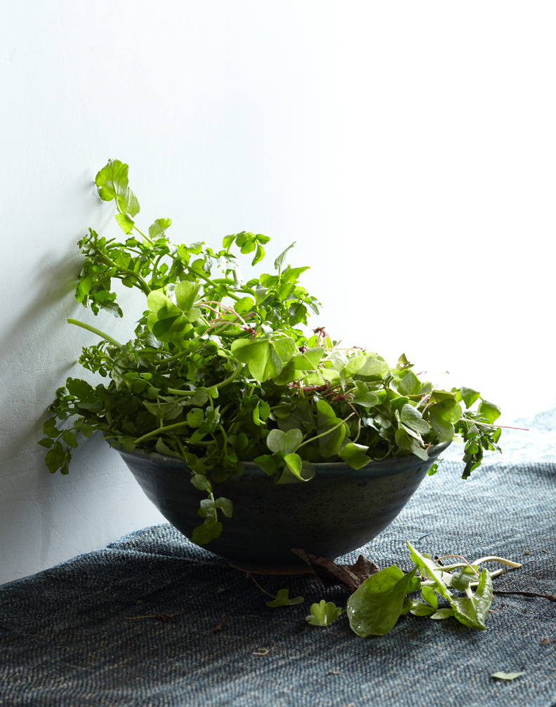 watercress, wood sorrel and sorrel