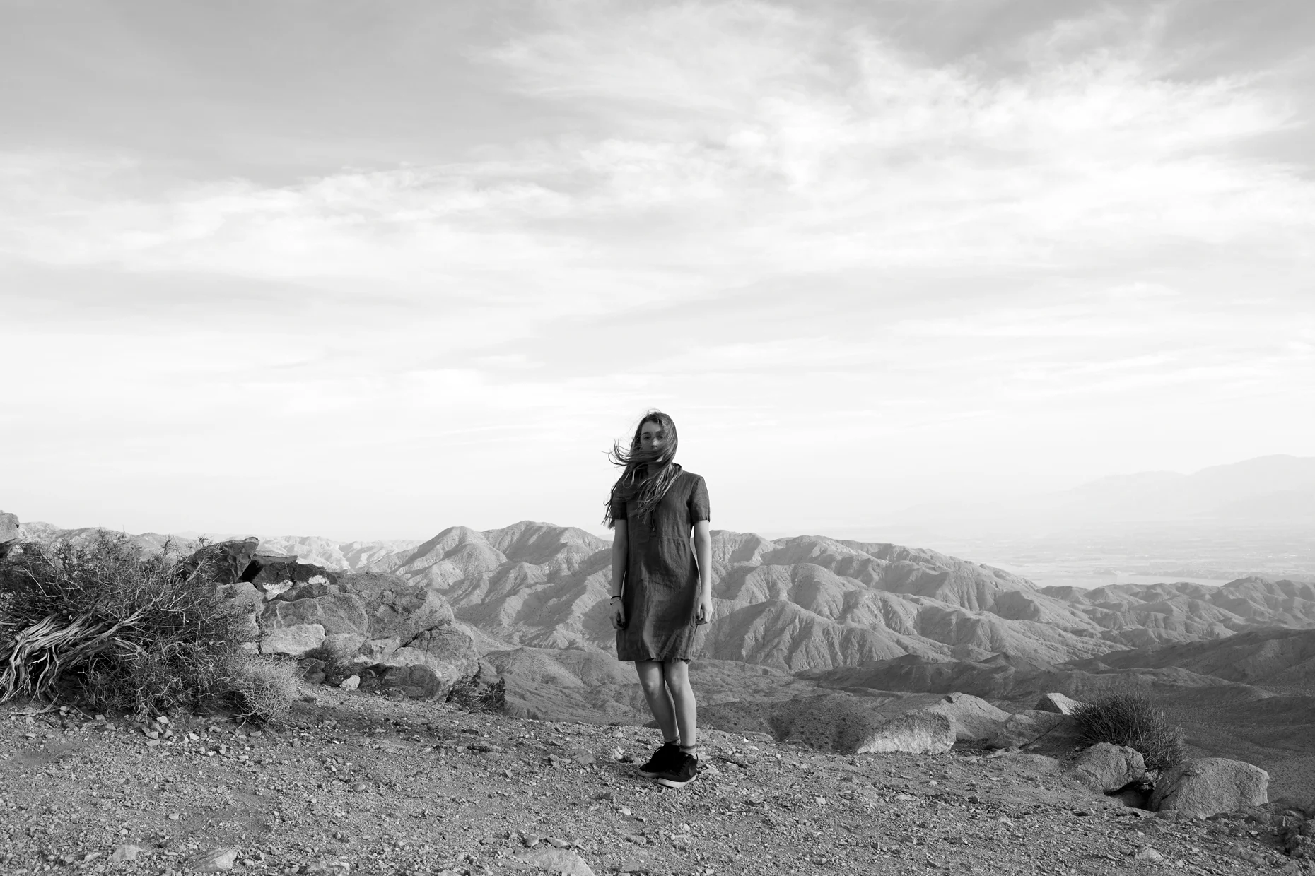  Lula Joshua Tree National Park.