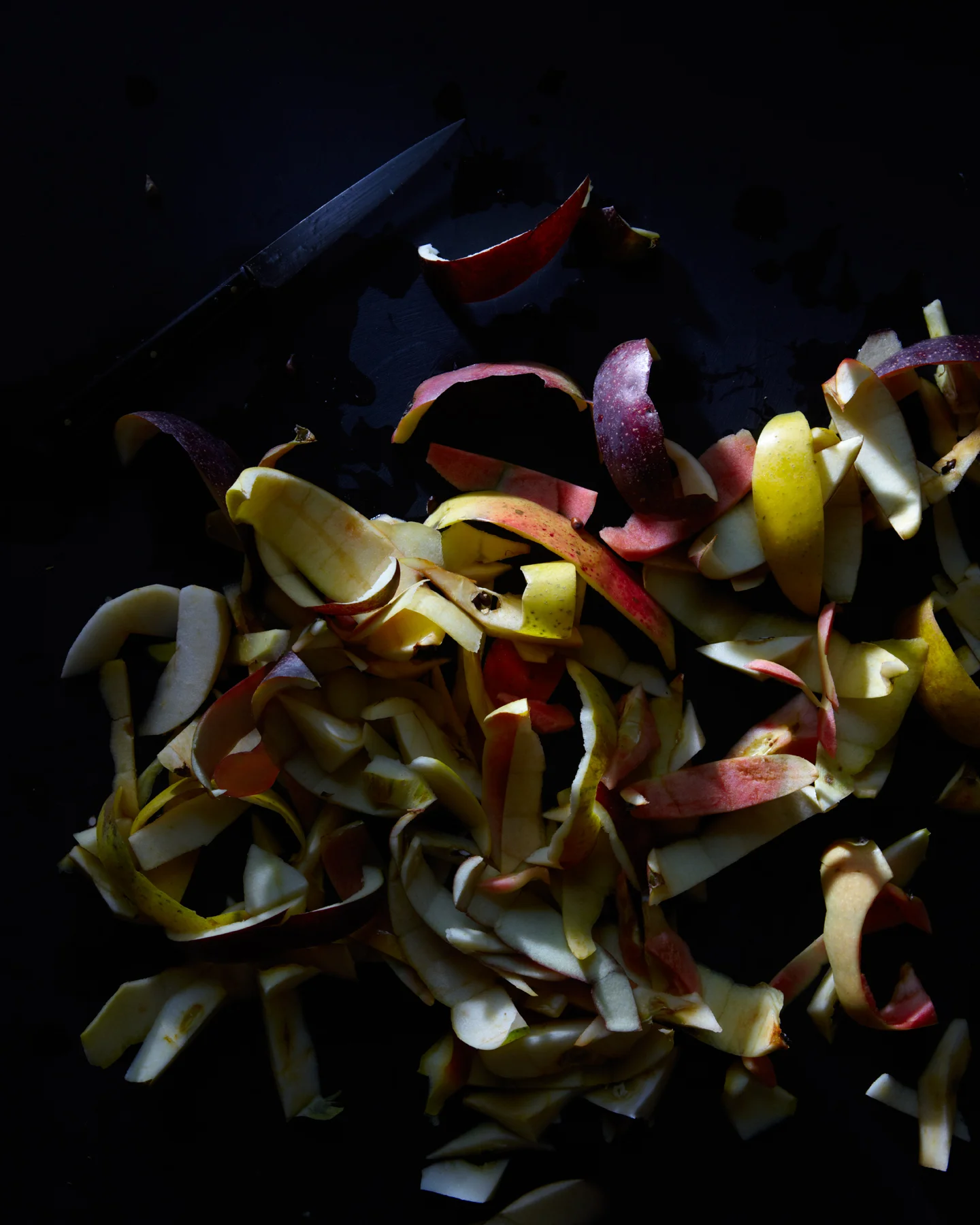 121108_FRENCH_APPLE_CAKE-1532.jpg