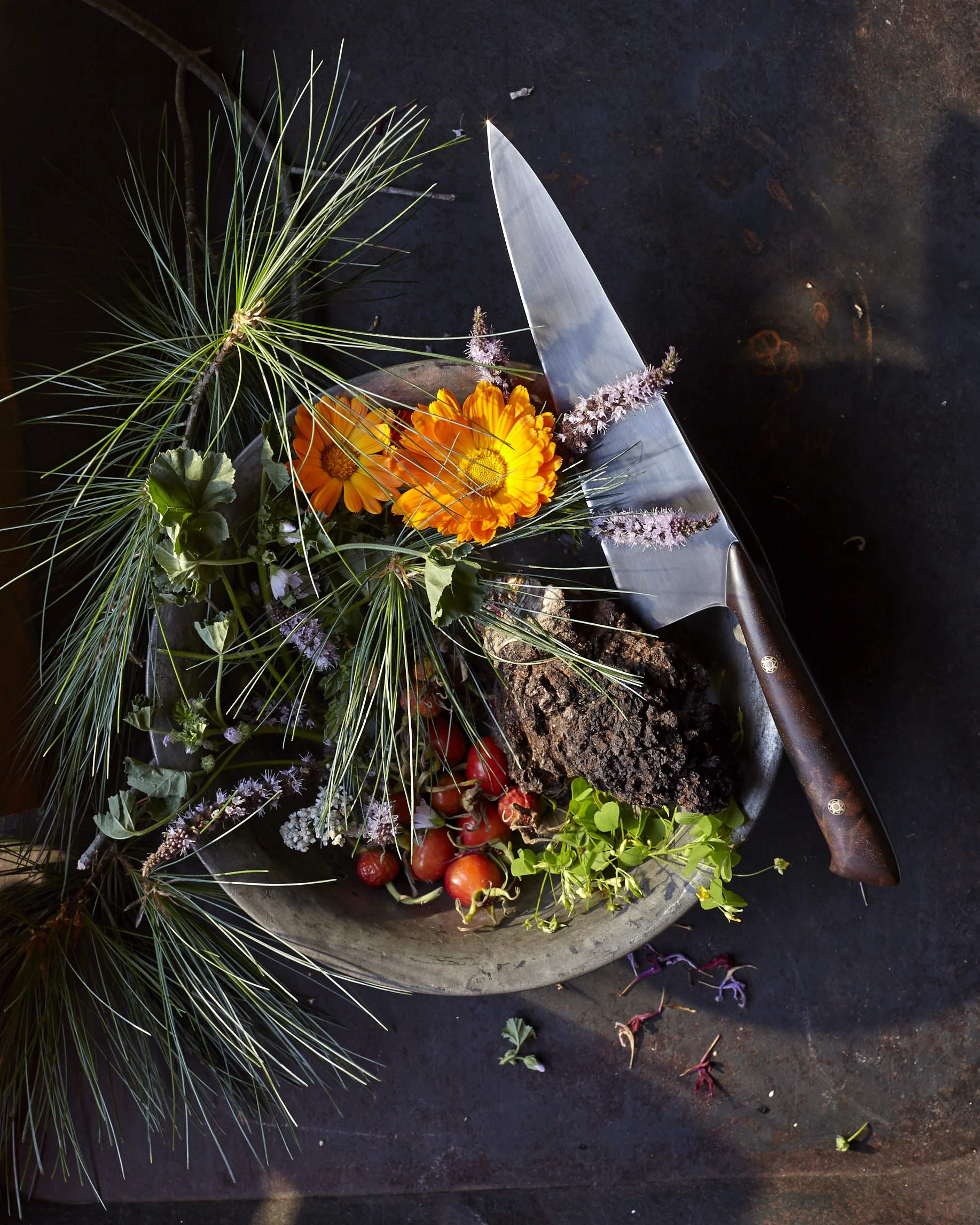 140830_PINES_TABLEONTEN_foraged-2859.jpg