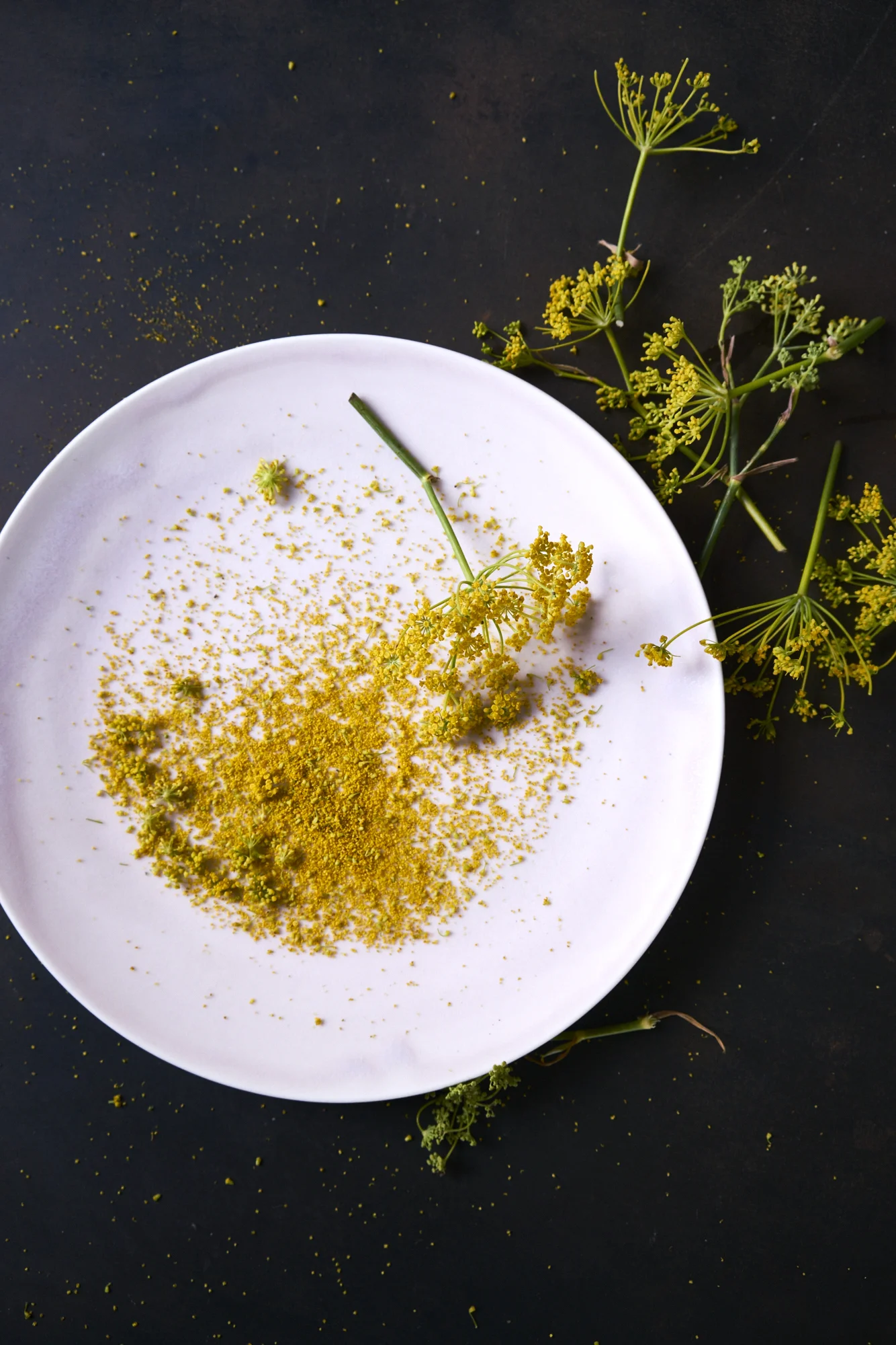 160807_WILD_FENNEL_POLLEN-_052.jpg