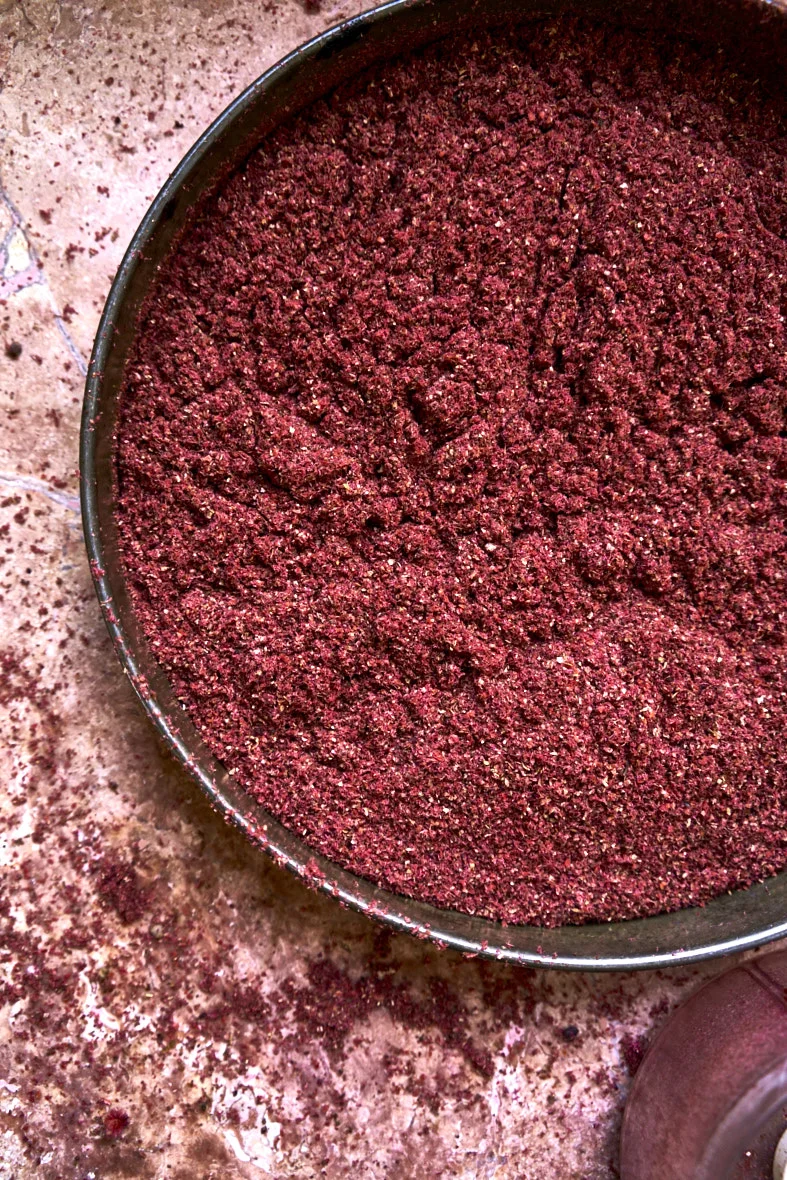 160827_HGFT_HONEY_BEE_BALM_SUMAC-_159.jpg