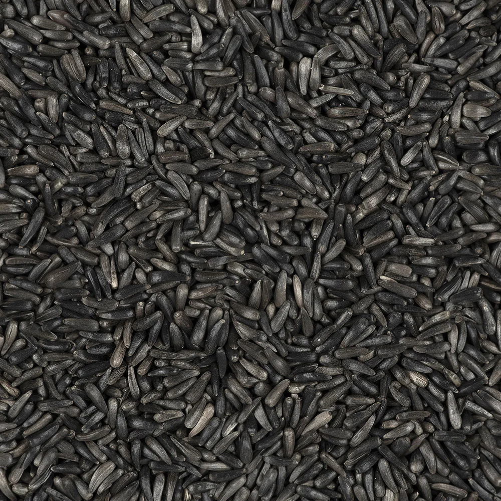 Single seeds, like Nyjer, can target individual species of birds
