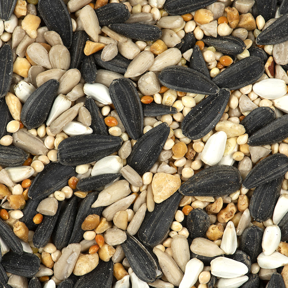 How to Find Birdseed for Wild Birds