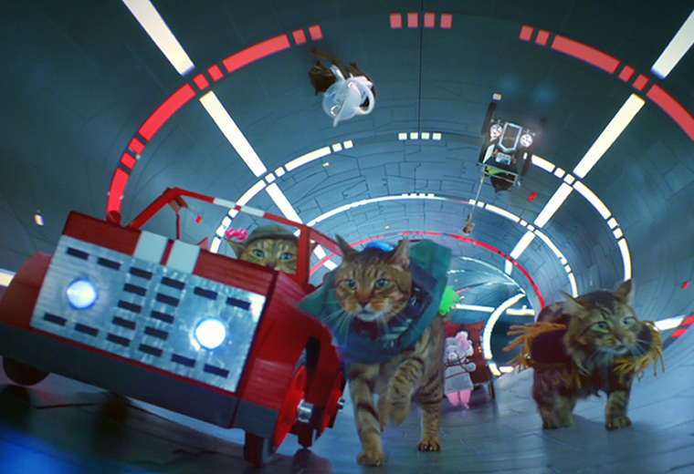 Cat-Ad-banner-760x520.jpg