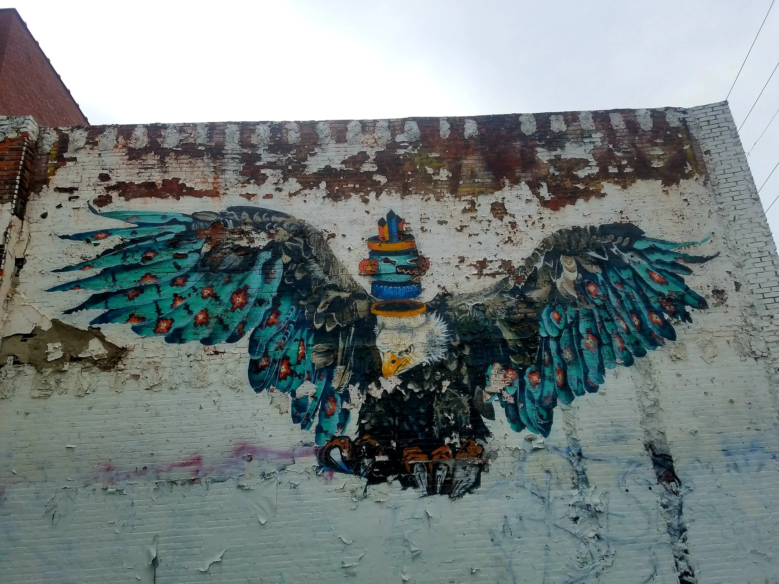 Fly Eagle Fly, 2018
