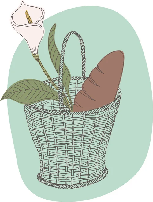 TrinaDalziel_7_bread_lily.jpg