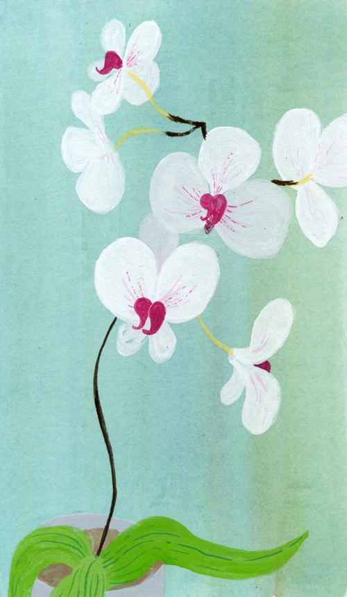 TRINA_PP_Gouache_AsymetricFloral_4.jpg