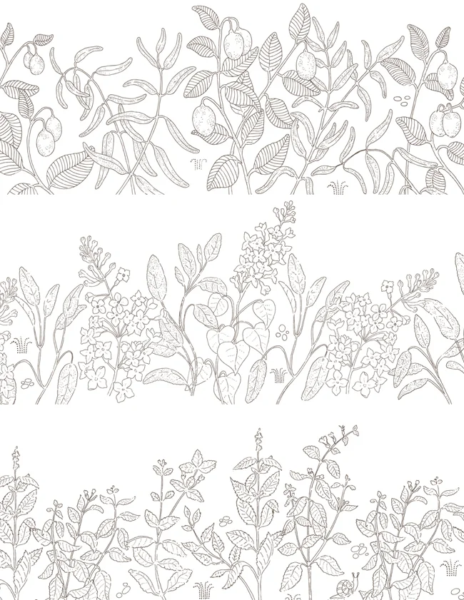 TRINA_PV_Waitrose_FlowerGarden_LineArt_NRL _LRSWeb.jpg
