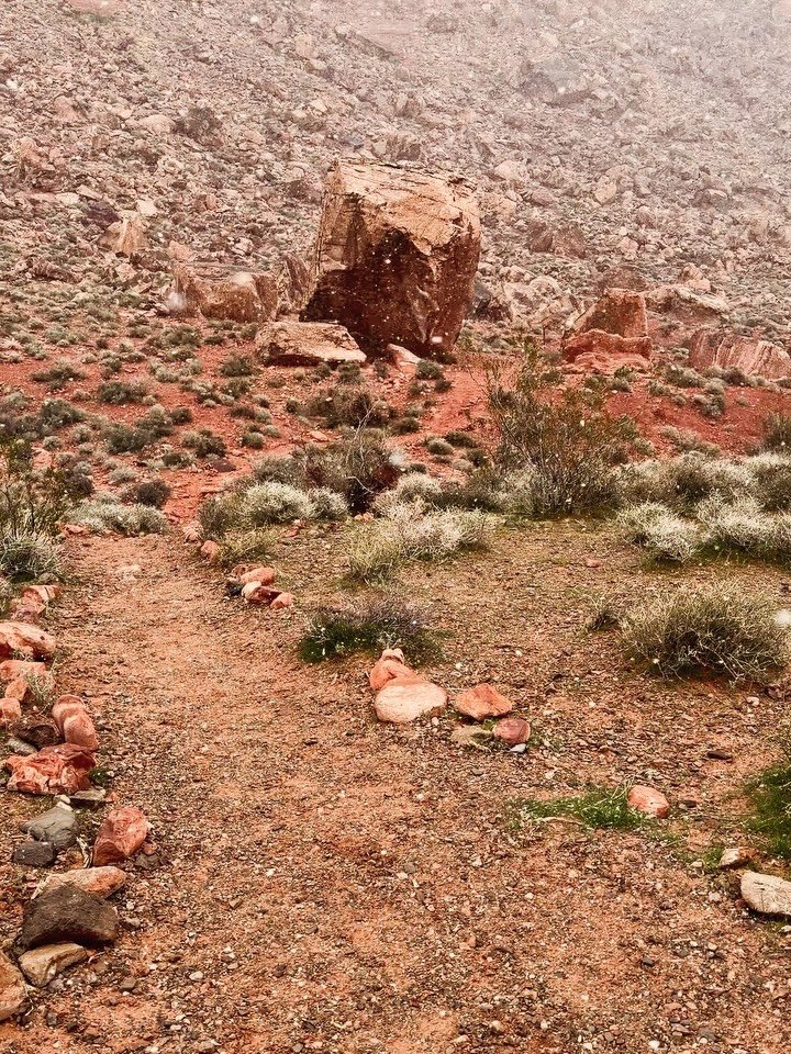 my mom lives about 15 min from red rocks canyon and so we drove out into the mountain for little walks just about every day. on this particular morning it snowed and I don&rsquo;t think I&rsquo;ve ever been in a desert when it was snowing before. wha