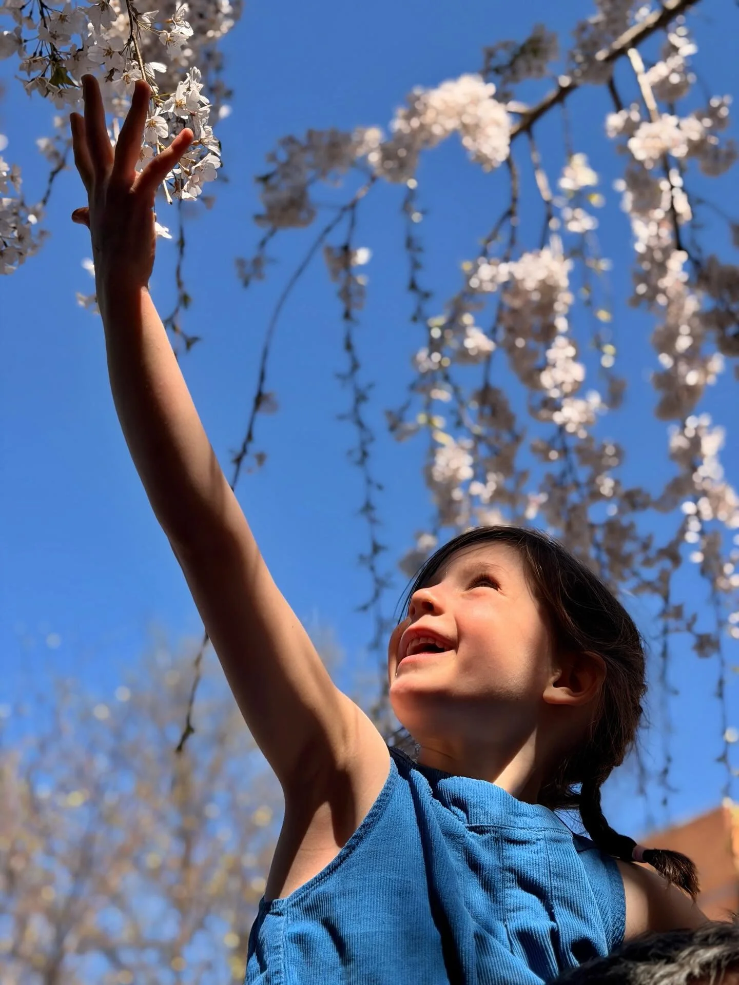 spring is here, reminding us that time doesn&rsquo;t stop, but oh what a beautiful string of days.