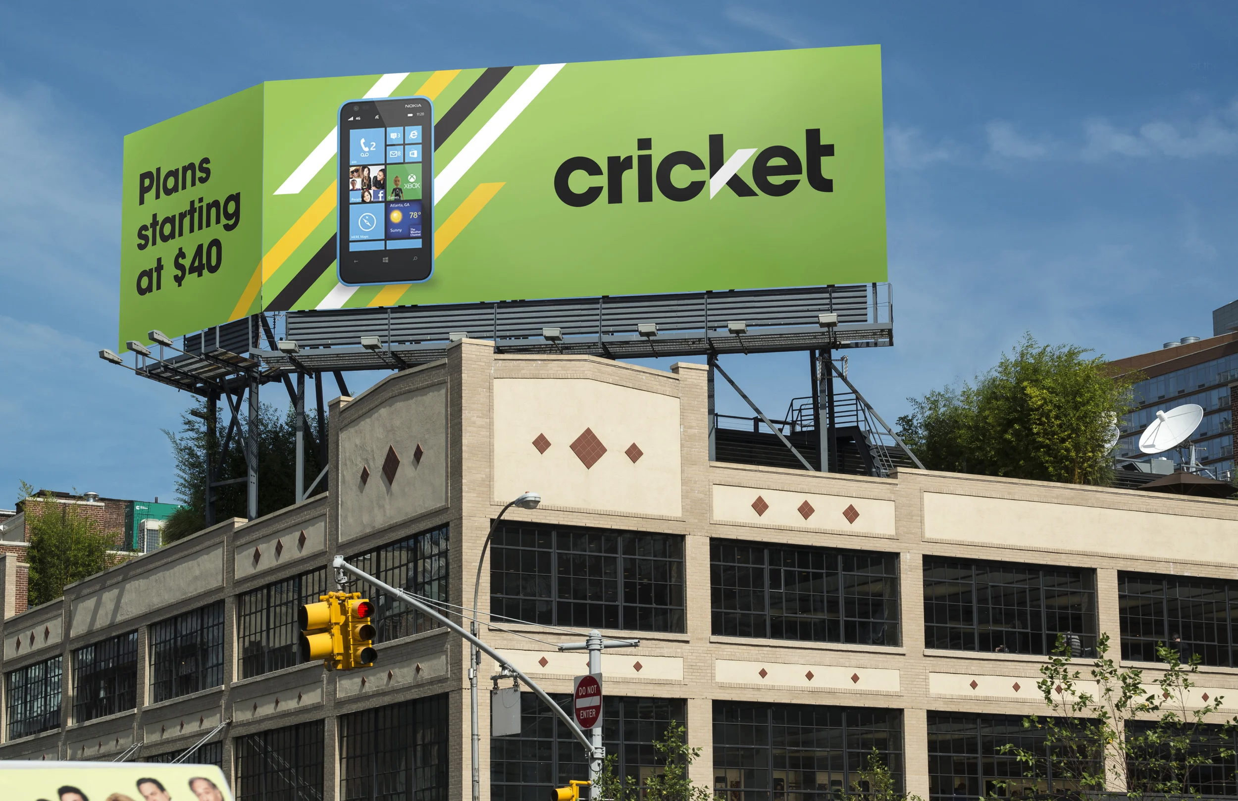 Cricket_8.jpg