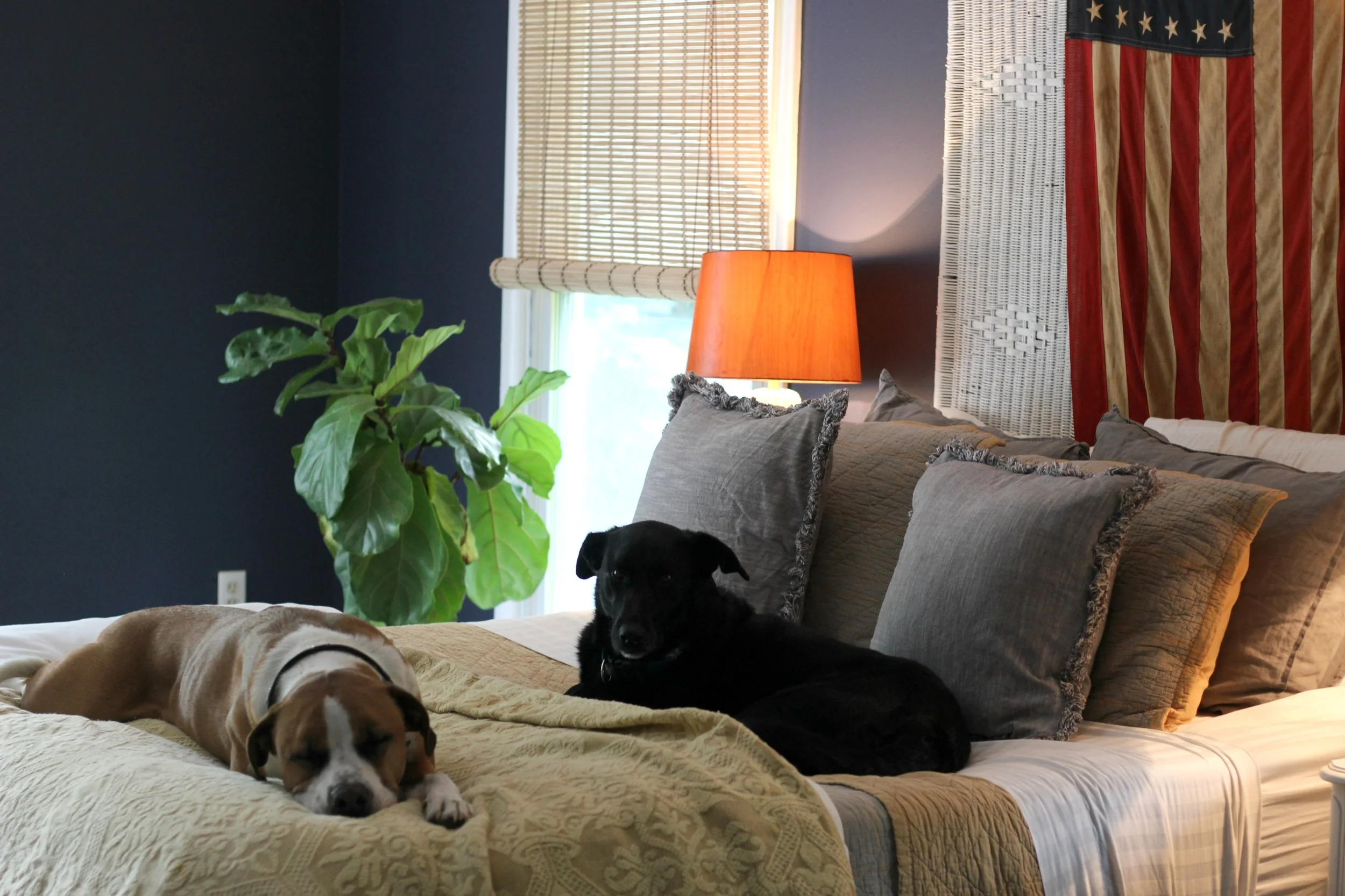 sherwin williams charcoal blue — Blog — Gathered Living