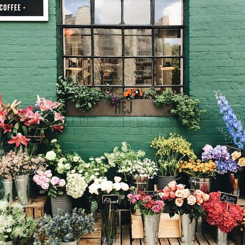 via Ana Rosa