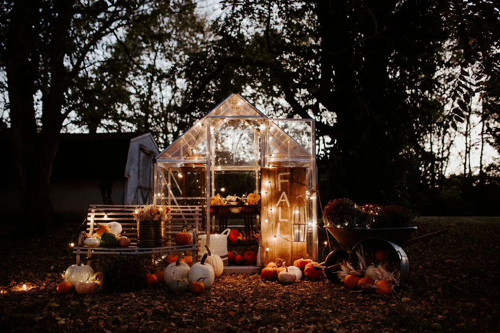 all photos by Sarah E Dunn Photo + Design
