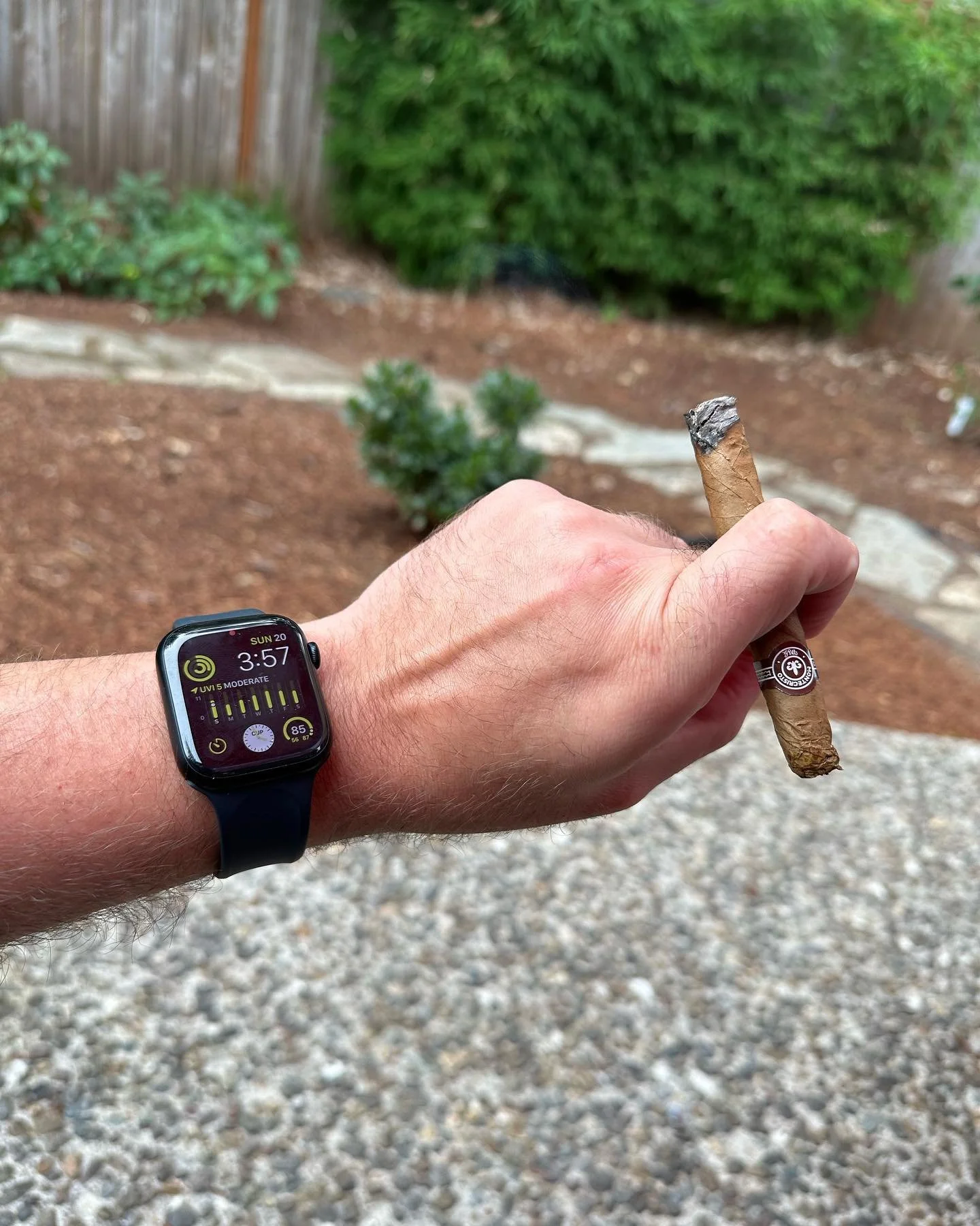 Steps almost done for the day, quick lil&rsquo; #stogie break to enjoy this beautiful Oregon Sunday. 
-
-
-
#cigar #cigaraficionado #montecristo #cigars #cigarlife