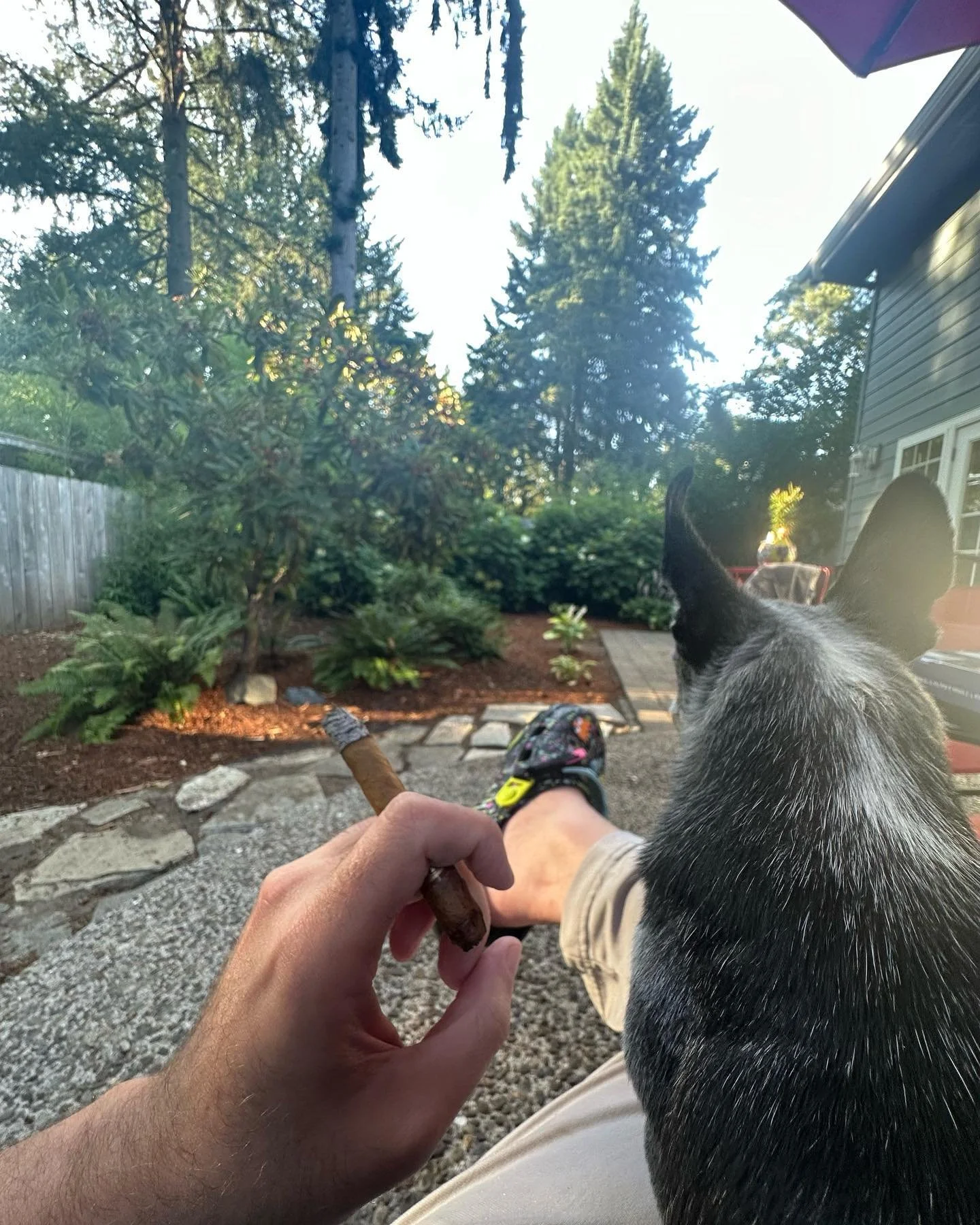 Birthday #cigar 

Simple.