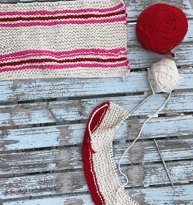 DISH CLOTH EVERYTHING.jpg