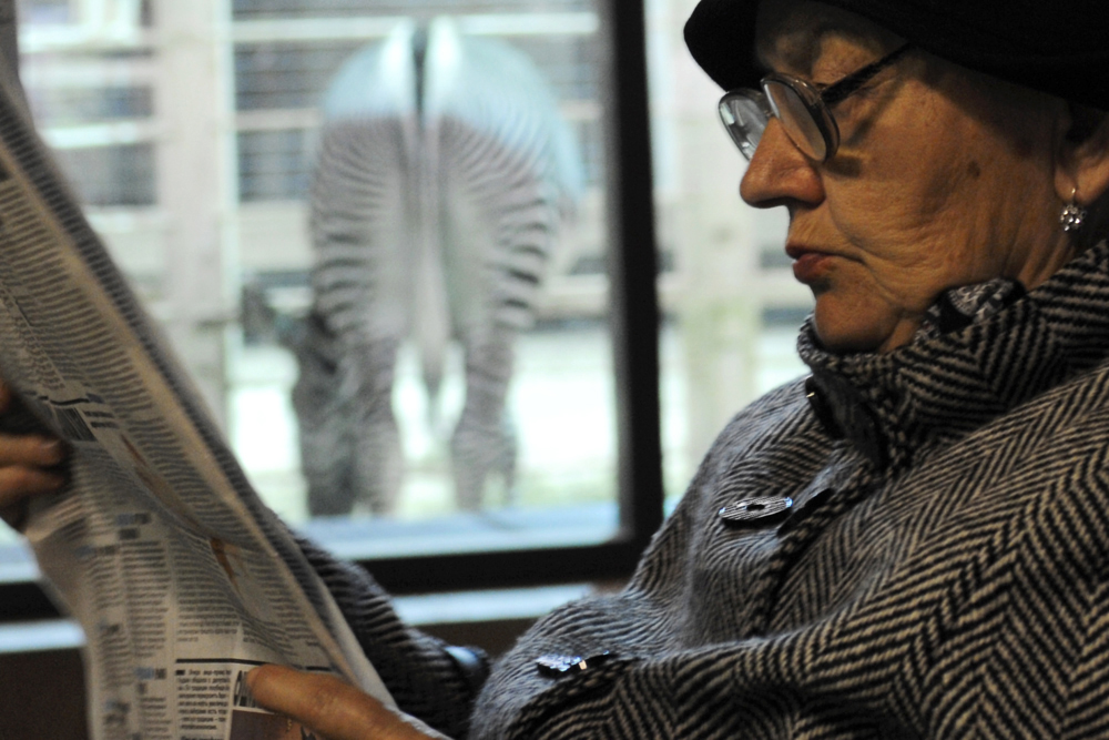 A woman reads newspaper in the Moscow zoo, Russia.