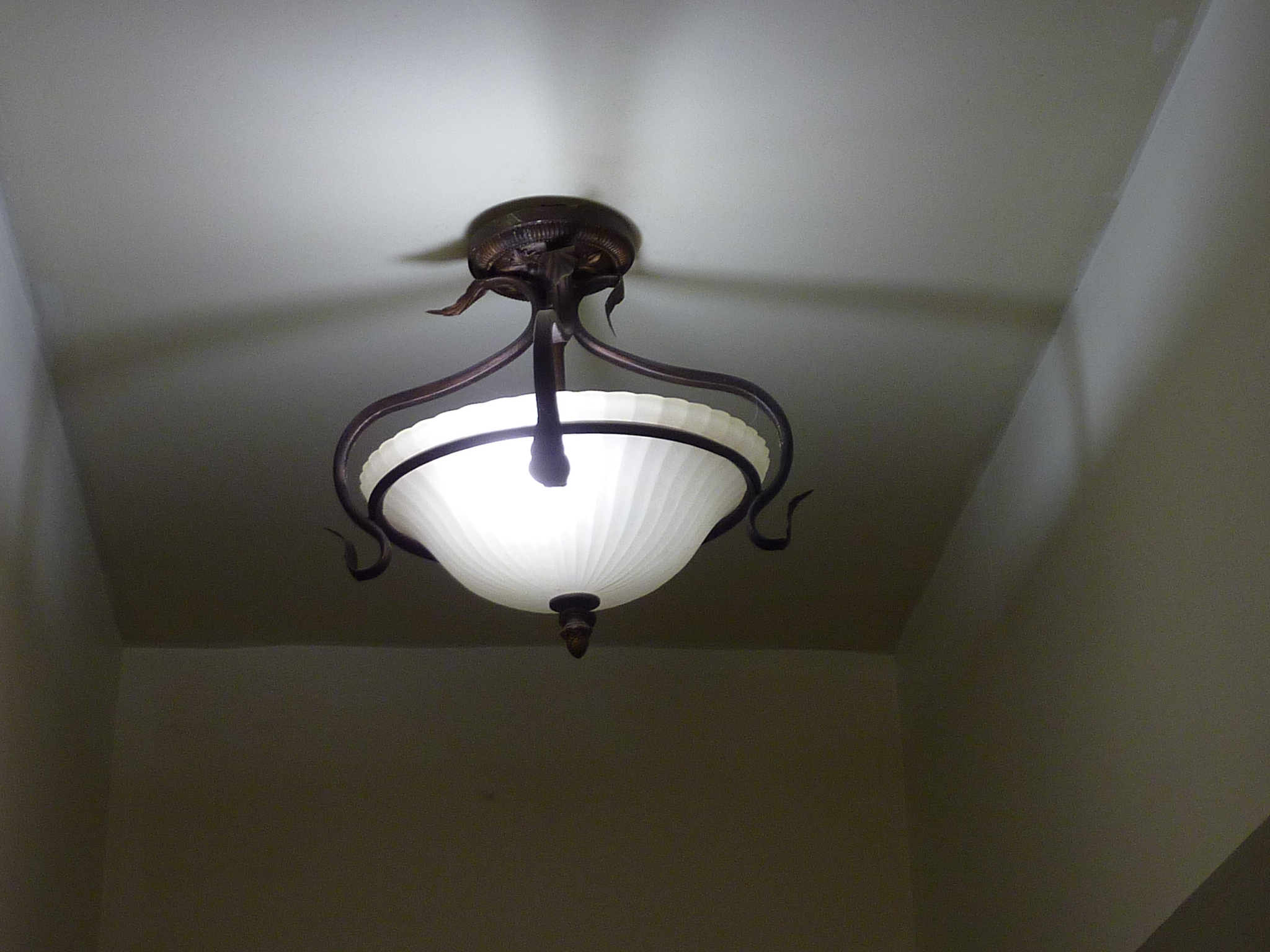 This light fixture is another Reuse Center item.